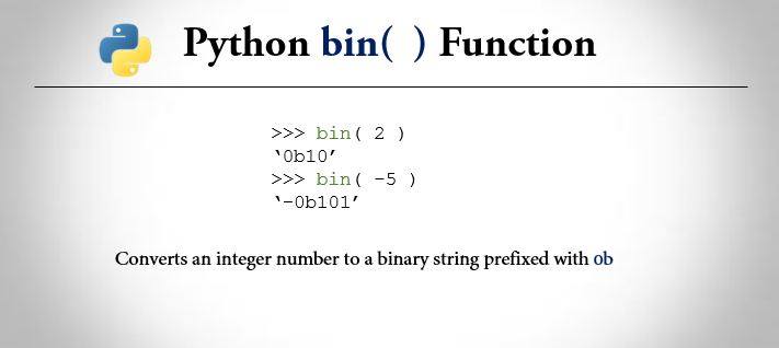 Python bin() function