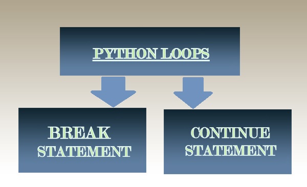 python break and continue statement