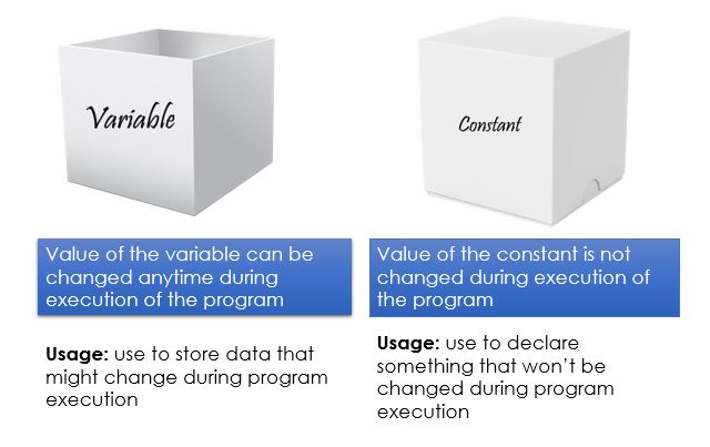 Difference between variable and constant